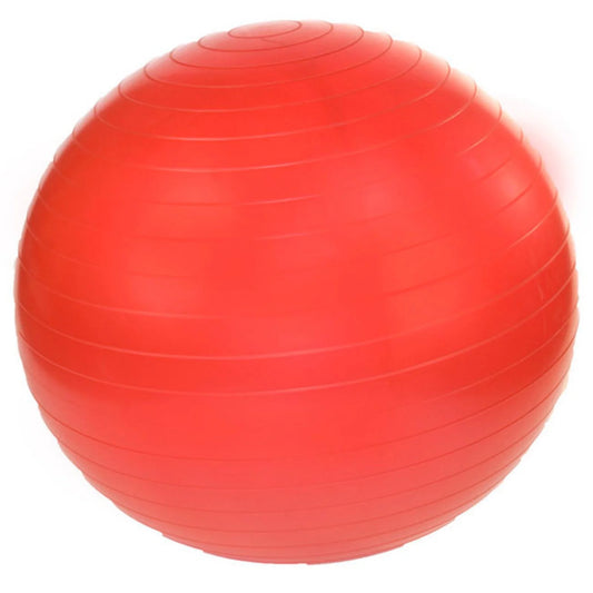 Anti-Burst Gym Ball w/ Pump- 75cm