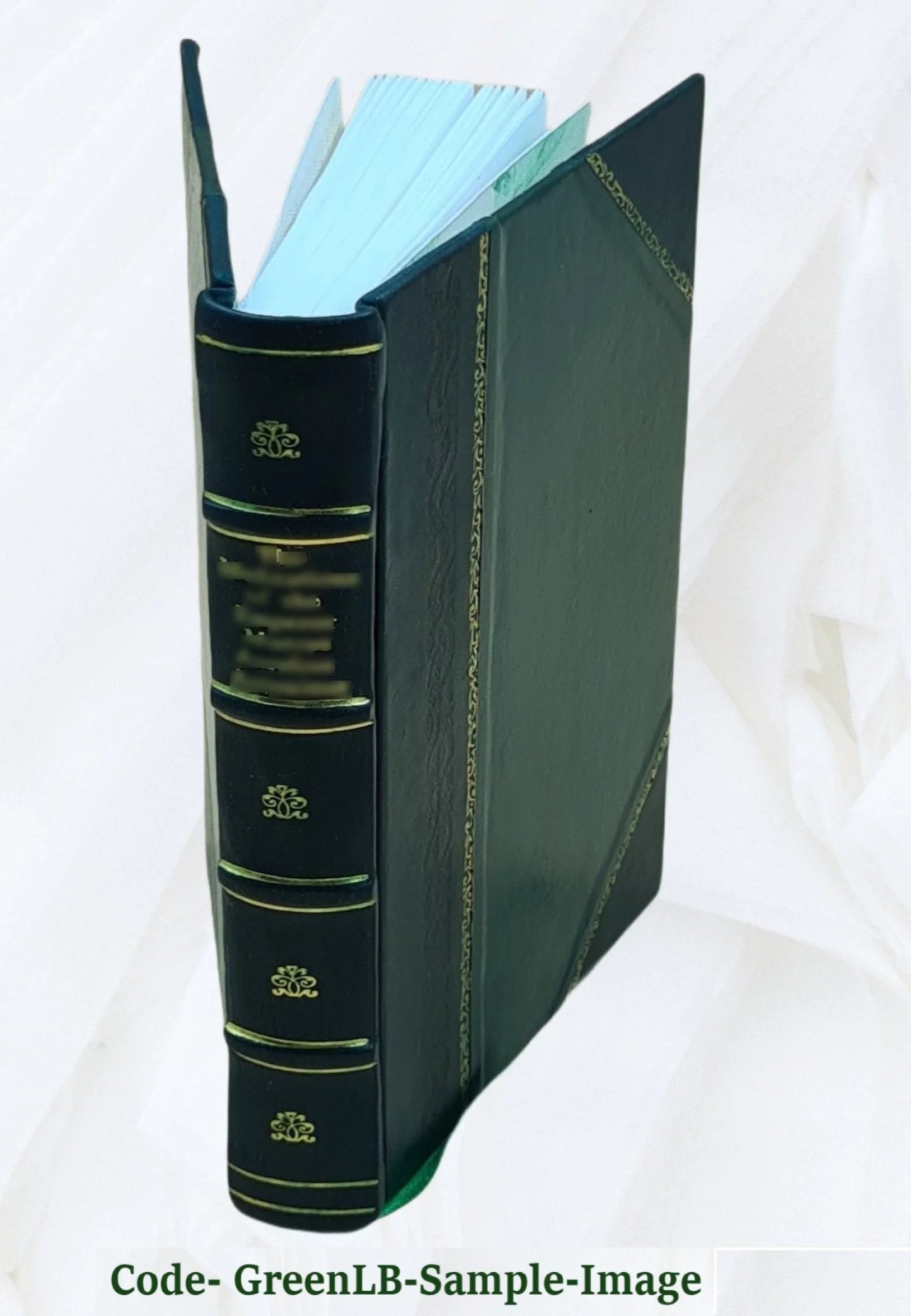 The gold trail; how two boys followed it in '49 1929 [Leather Bound]