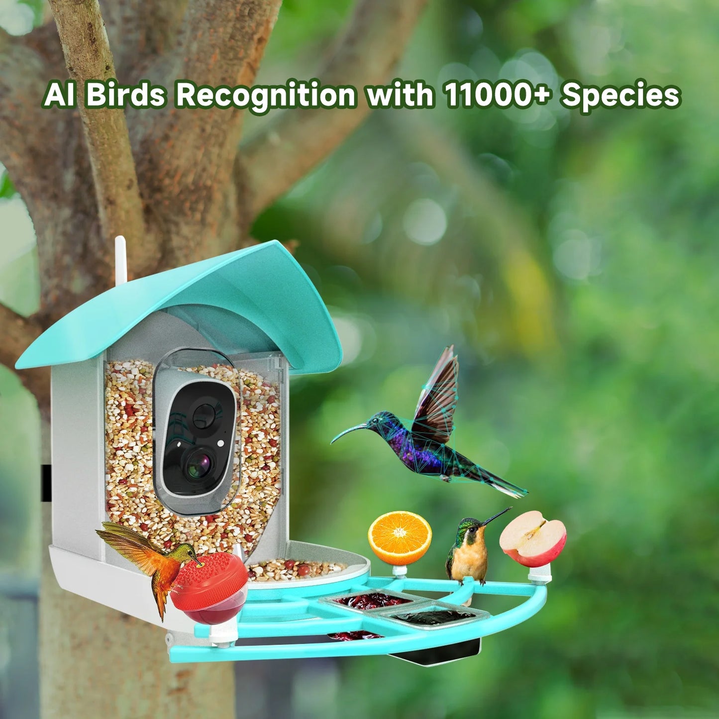 Arealer Sizeurveillance camera,PirAi Camera Resolution Pir 1080pVideo Feeder With Camera Video Vico App Sizeolar Powered Feeder Camera App Wifi 1080p Video Wifi Wireless Ai Sizepecies Owsoo