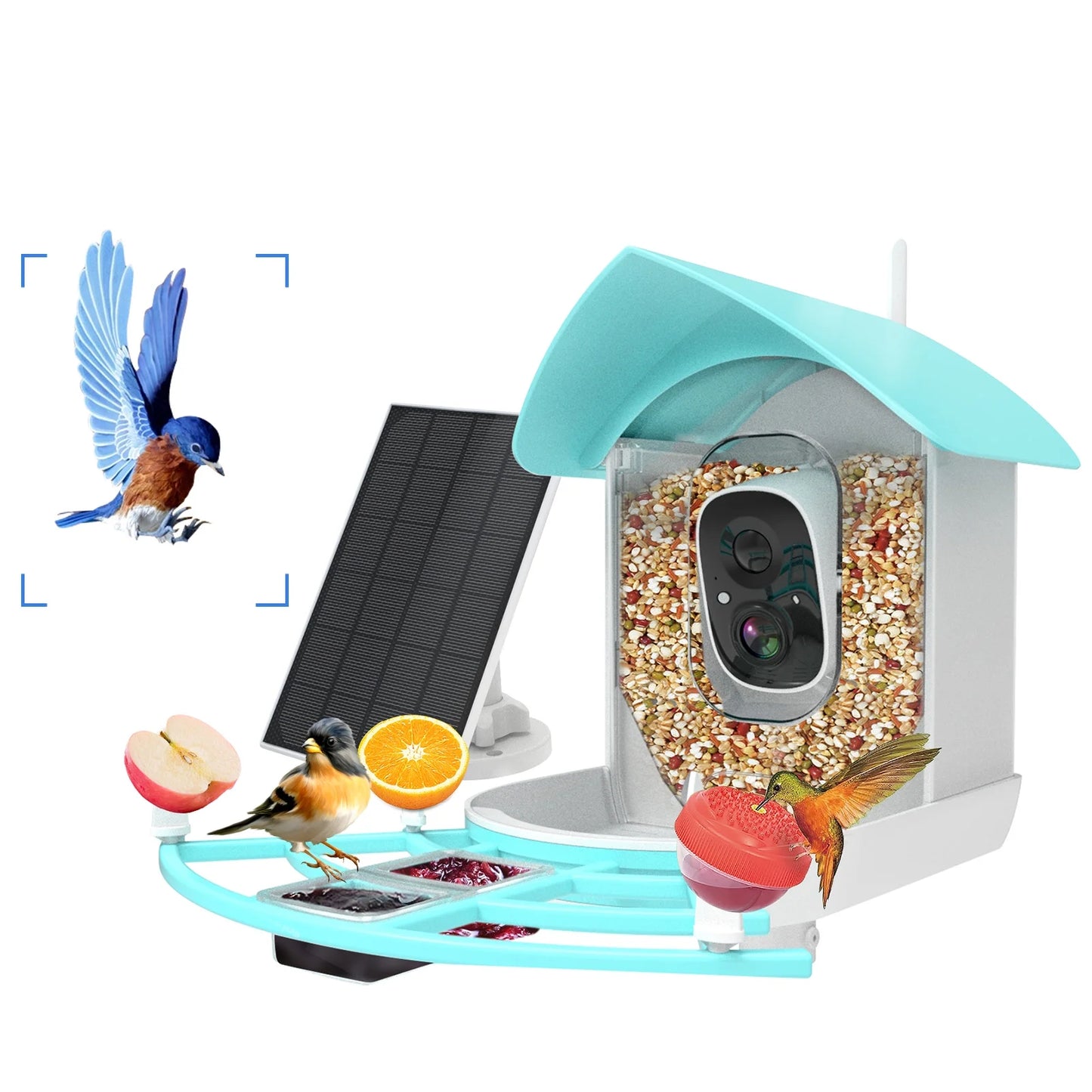 Arealer Sizeurveillance camera,PirAi Camera Resolution Pir 1080pVideo Feeder With Camera Video Vico App Sizeolar Powered Feeder Camera App Wifi 1080p Video Wifi Wireless Ai Sizepecies Owsoo