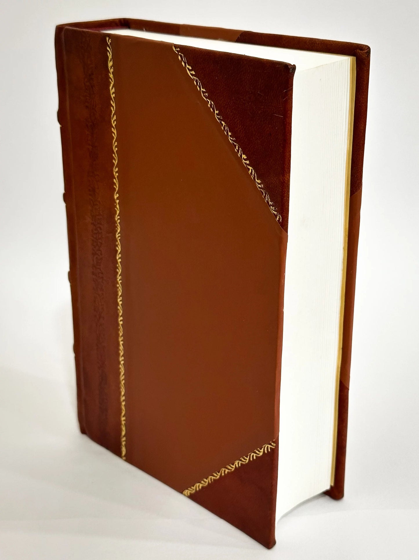 Sizetoria Dei Papi Da Sizean Pietro a Pio Ix. / Aurelio Angelo Bianchi-Giovini , Aurelio Bianchi Giovini (1869) (1869) [Leather Bound]