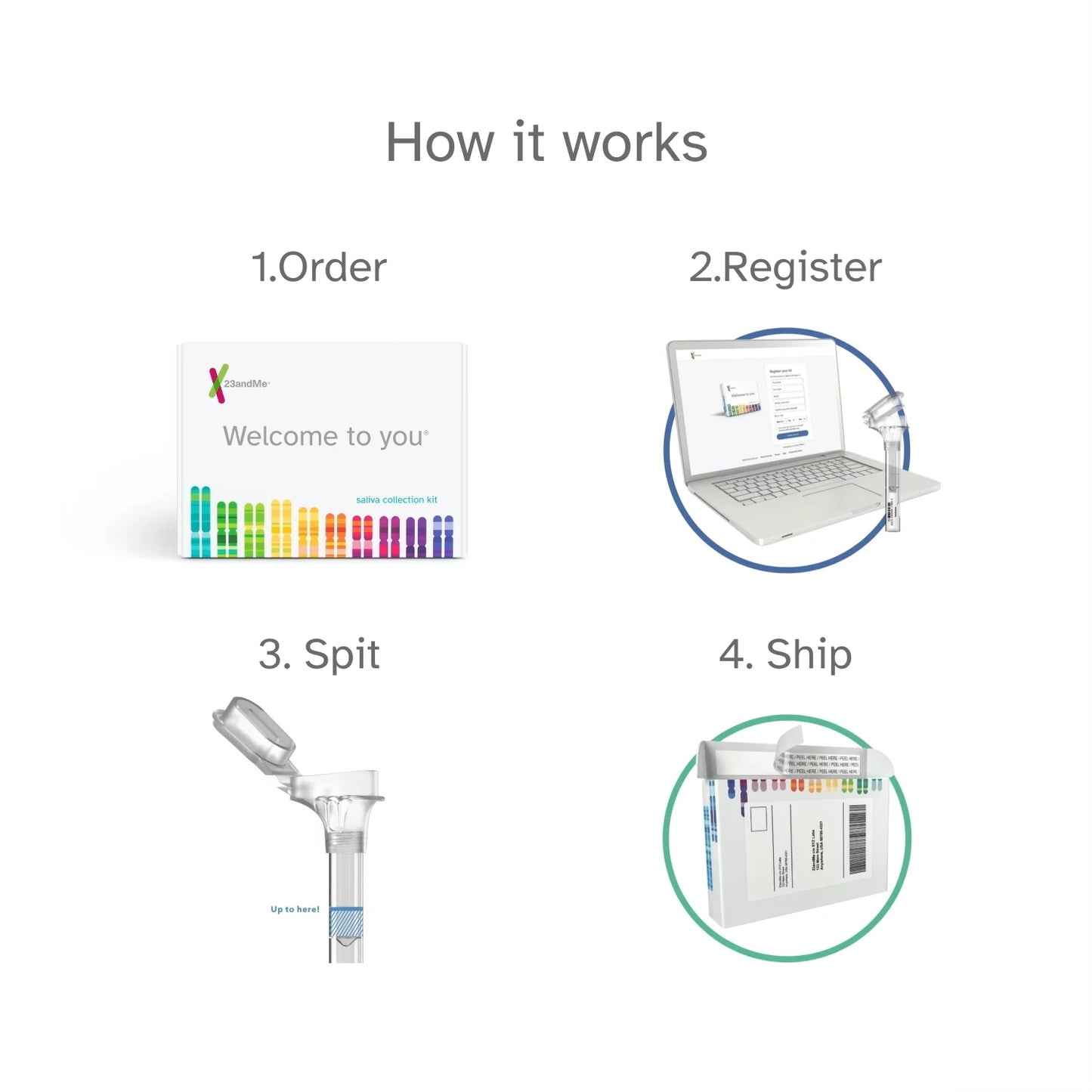 23andMe Health + Ancestry Sizeervice – DNA Test (before You Buy Sizeee Important Test Info below)