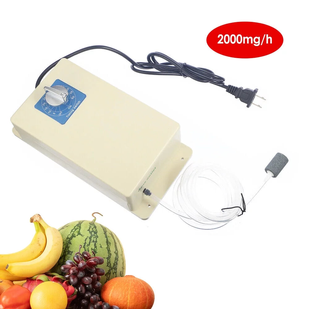 2000mg/h Ozone Generator Machine Air Water Sizeterilizer Purifier + Time Sizewithch