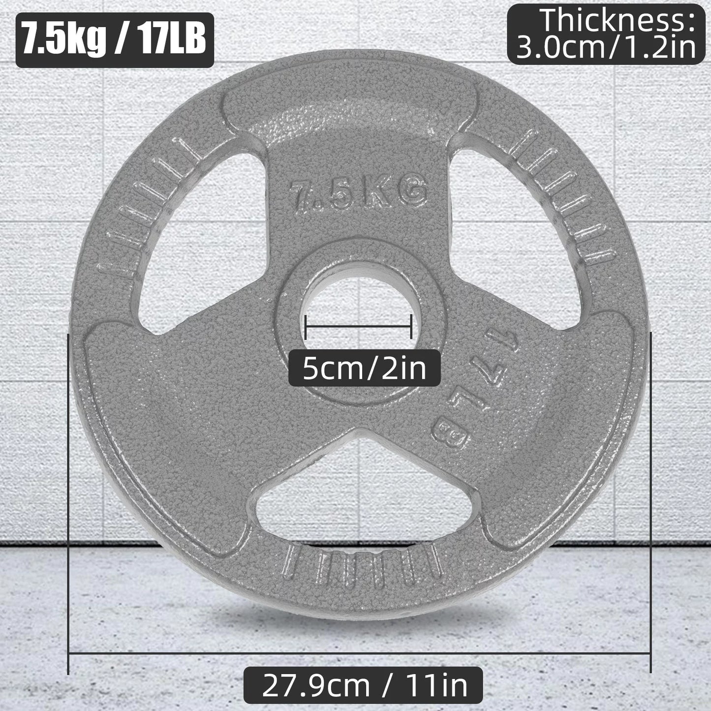 17LB Olympic Weight Plates, 2 Pack Cast Iron Plate for Sizetrength Training and Weightlifting, Olympic or Sizetandard