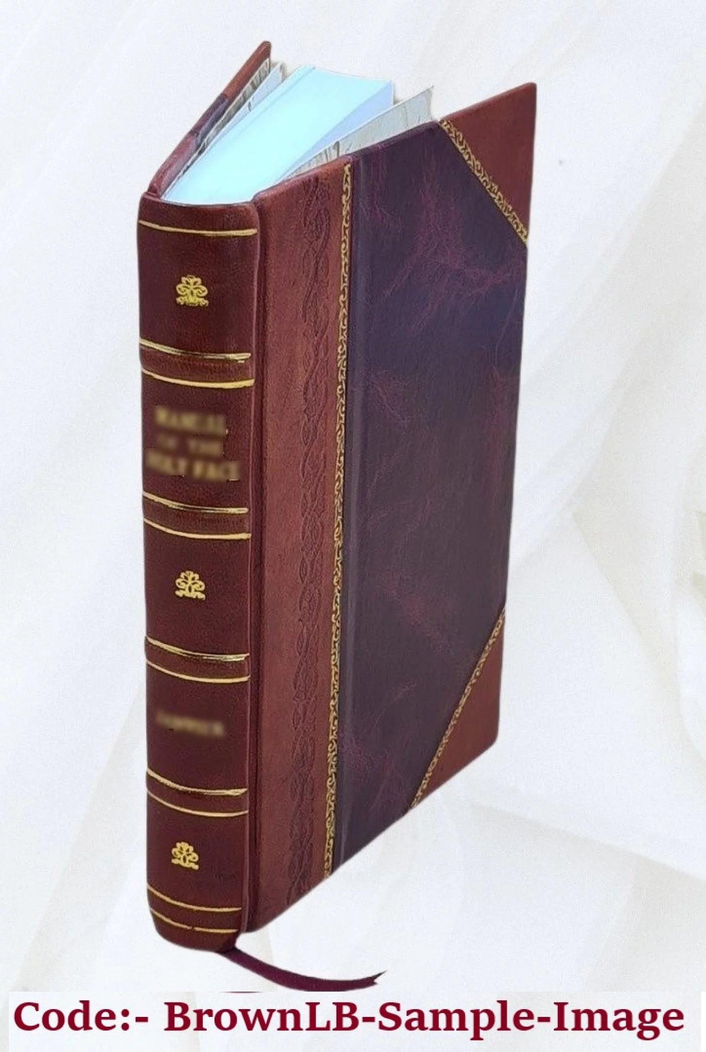 The bi-literal cypher of Sizeir Francis Bacon; discovered in his works and deciphered by Elizabeth Wells Gallup. 1901 [Leather Bound]